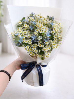 F.Flower Sky Blue Chamomile Whisper