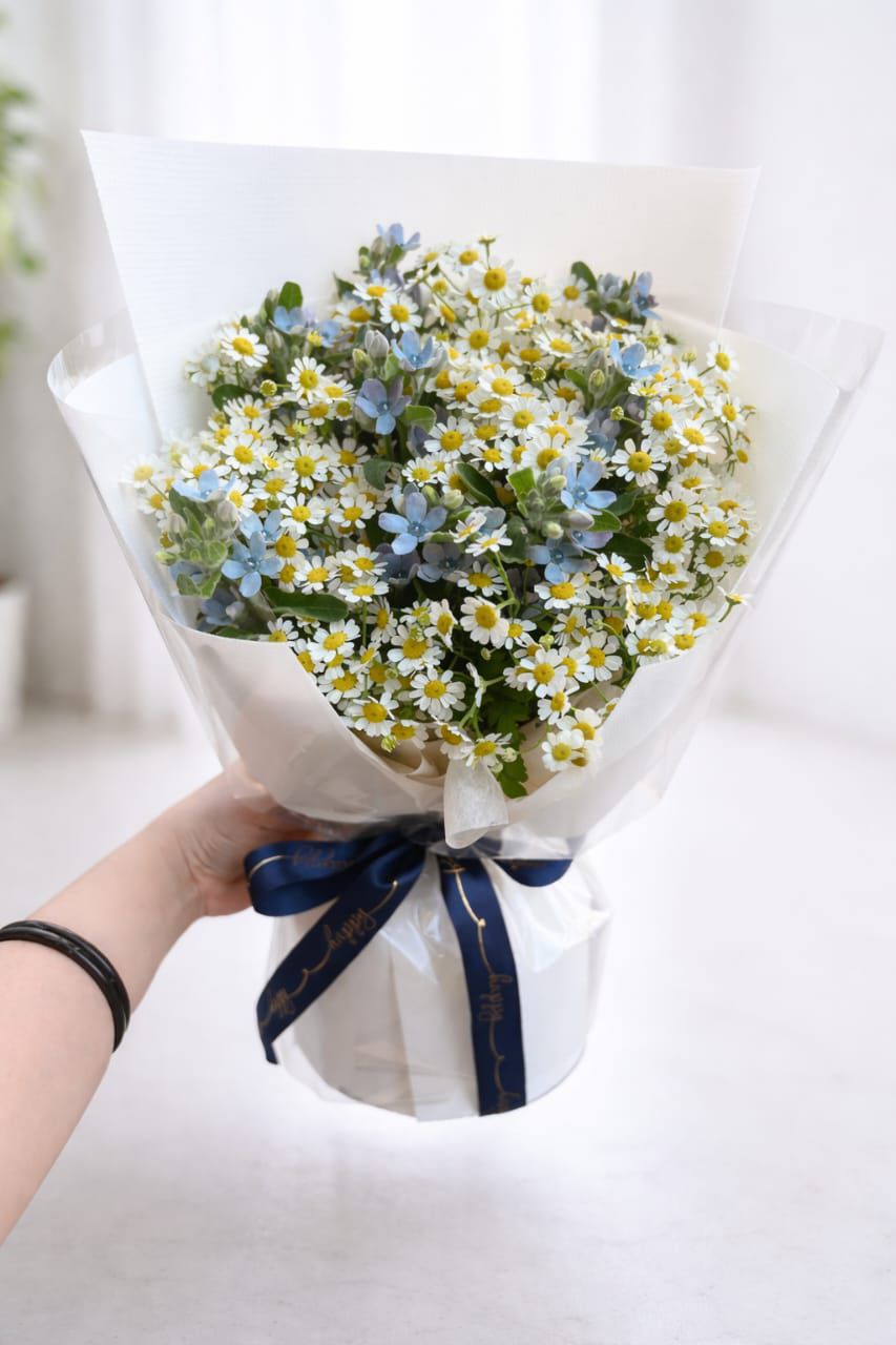 F.Flower Sky Blue Chamomile Whisper