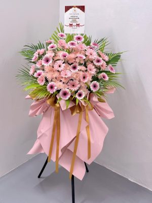F.Flower Stand (Daisy Tt & P)